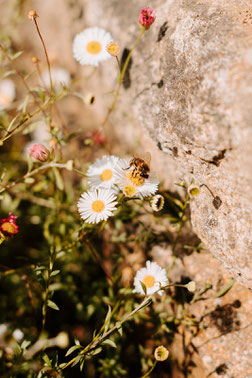Photo Sabrina Dupuy