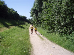 Durch Wald und Flur