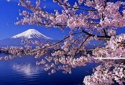 Zipangu Arts Tokyo ☆ Artist Profile ゚*☆*~ Hiro ~*☆*゚