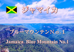 ジャマイカ ブルーマウンテンNo.1