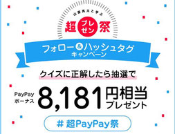 スマホキャッシュレス決済キャンペーン-PayPay8181円相当プレゼント