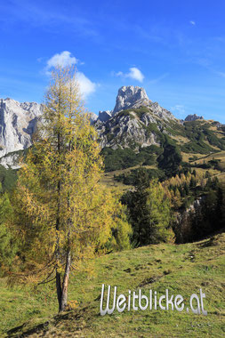 LOS06 - Bischofsmütze im Herbst von den Loseggalmen aus gesehen