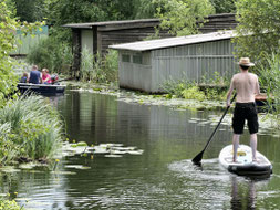 SUP mieten Boot mieten Havel Wesenberg Drewensee