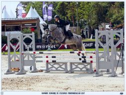 Cado à Fontainebleau (Photo PSV)