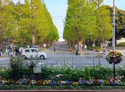 日吉駅前花壇