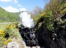 le maestrou, une locomotive à vapeur qui passe le long de gorge pour une excursion à la journée par le gite du domaine de la gorre à louer en ardéche