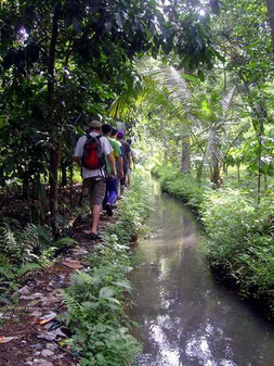 path alongside a creek