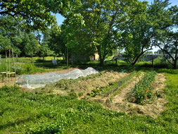 Gemüsegarten in Frankreich, 1. Jahr