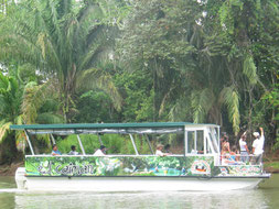 Tour a Caño Negro