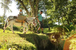 promenade avec les ânes au bord de la rivière à Champseau / M Turin©CRT Limousin