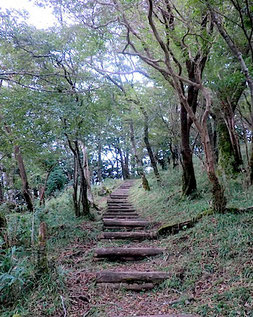 稜線歩道