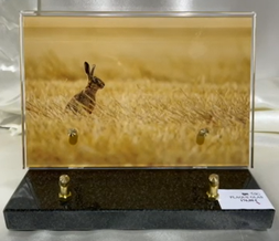 Chasse 5 - 176 €