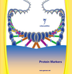 Protein Marker; Proteinlietern von GeneON