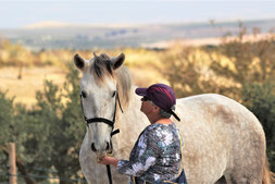 Rachel Bedingfield teaching horse behavioural rehabilitation course