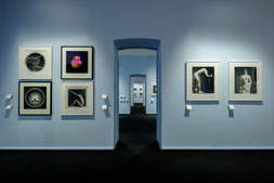 Robert Mapplethorpe