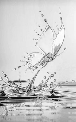 ein-Schmetterling-steigt-aus-dem-Wasser-auf