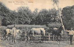 Haras de Paul Dautier à Villacoublay.