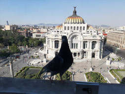 Mexiko Stadt