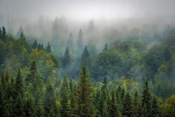 Le troisième pilier du développement durable, apprendre à respecter la nature.