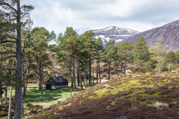 Schutzhütte "Bob Scott Bothy"