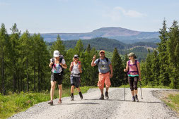 In den "Trossachs" lässt es sich einfach herrlich wandern