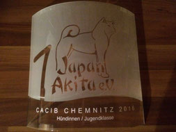 Japan Akita, Umeko of Kishi Ken, Hund, Ausstellung, Hundeausstellung, Zucht, Hundezucht, Internationale Rassehunde-Ausstellung Chemnitz