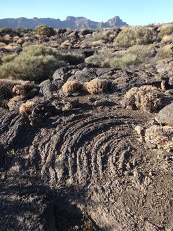 Laves cordées du Teide, Tenerife (photo Ugo)