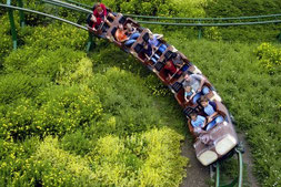 Die Eichhörnchenbahn (Foto: Lochmühle)