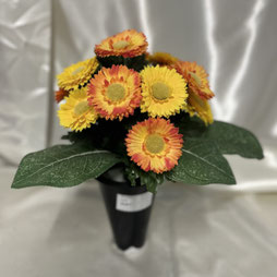 Cône Paquerettes 1  - 29€