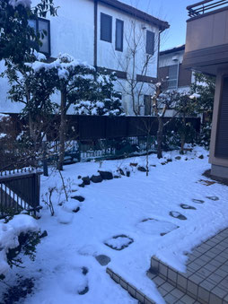 八王子市で除草する植木屋「纏造園」