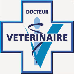 vétérinaire comportementaliste canin