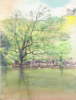 水彩画「森の息吹」福井良佑  Watercolor by Ryoyu