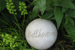 Willkommen