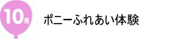 ポニー乗馬体験