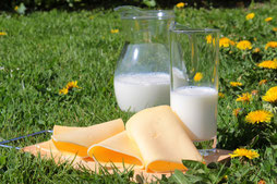 Produits laitier