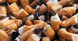 Megots de cigarettes