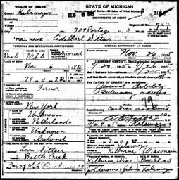 Michigan, Death Records, 1867-1952   (click to enlarge)