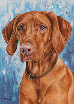 Magyar Vizsla "Tisza" neben ihrem großen Kopfportrait Gemälde in 70x50cm