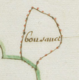 Bnf. Plan de la forêt royale d'Ecouves (détail), 1674