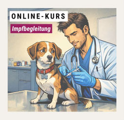 Lucky Soul: Küche für die Ernährung