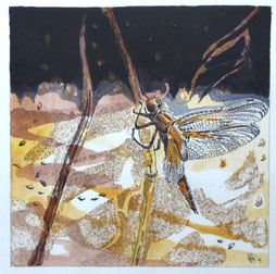Dragon Fly - Acryl with pen and sandstructure on paper  - 30 x 30 cm 