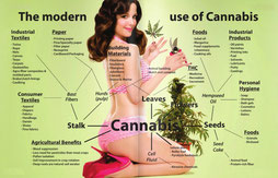 produits a base de cannabis