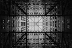 SEED Advisory Strategy Consulting Services