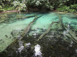 River