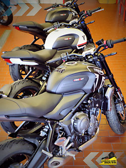 Die neue Triumph Trident 660 bei Motorrad-Center Dreispitz, Triumph Dreispitz, Binzen