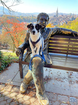 Stevie auf der Albert Einstein Bank in Bern