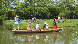 Tafune boat ride at Ukiya no Sato from the official site