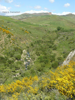 Il Fiume Gangi, affluente dell'Himera meridionale (foto S. Farinella©)