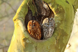 zum Vergrößern klicken!   Bild: Anne-Marie Kölbach