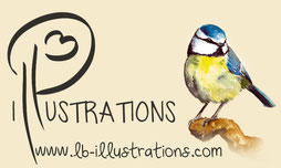 illustration, création de site internet, Jimdo expert